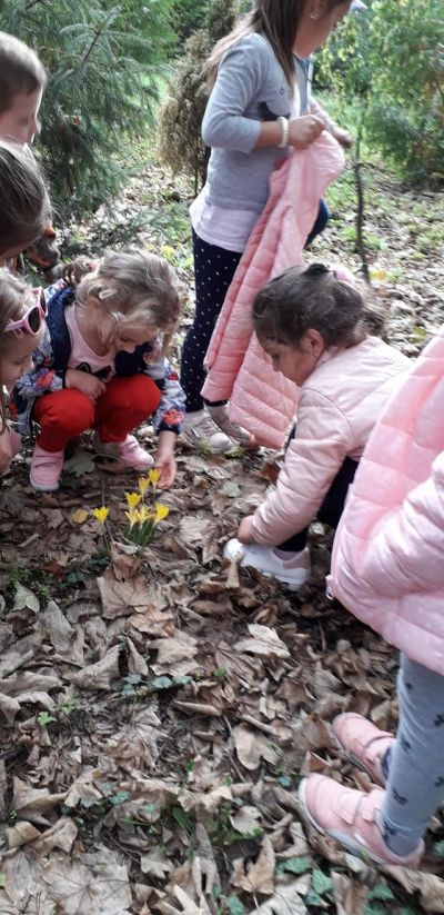В природата - ДГ Слънце - Попово